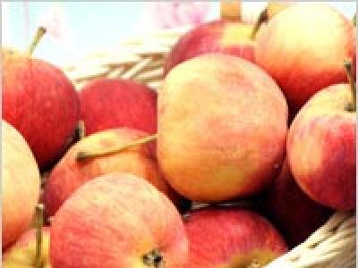 Лучшие рецепты варенья из райских яблок (ранеток) Как приготовить варенье из ранеток целиком
